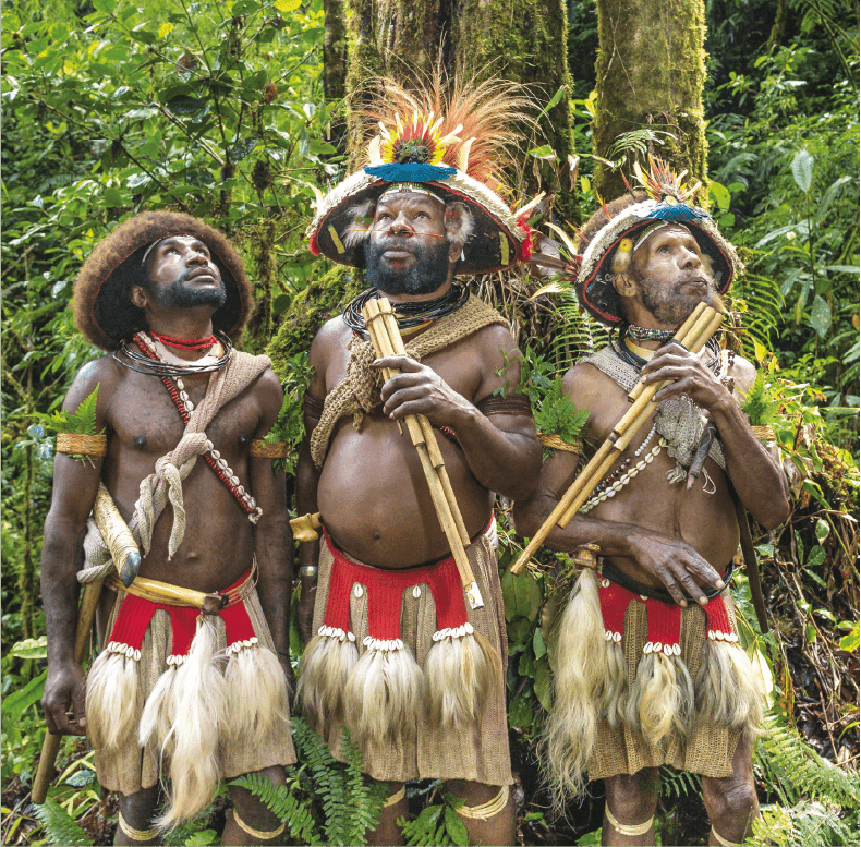 Projection-rencontre « Frères des arbres, l’appel d’un chef papou »